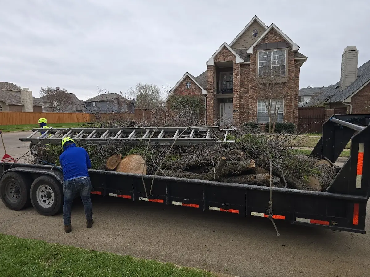 Expert Crown Reduction with proper safety equipment in Commerce Township